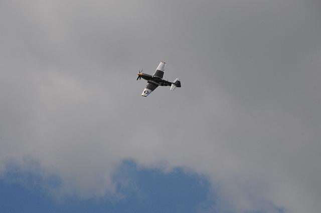 DSC_4485.JPG