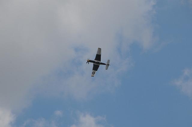 DSC_4486.JPG
