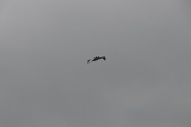 DSC_4488.JPG