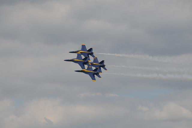 DSC_4566.JPG