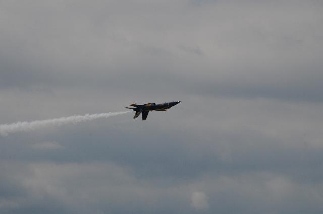 DSC_4596.JPG
