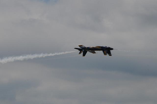 DSC_4600.JPG