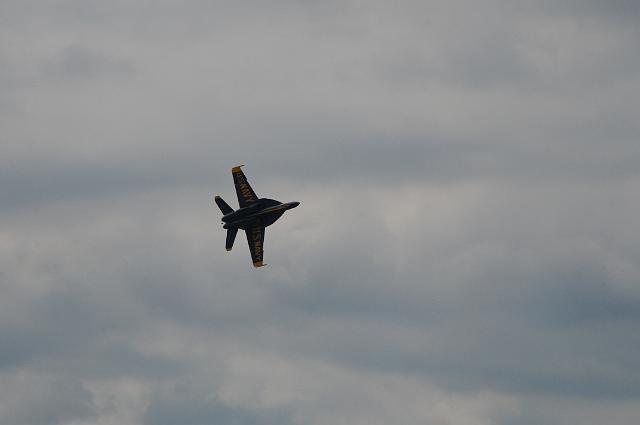 DSC_4631.JPG
