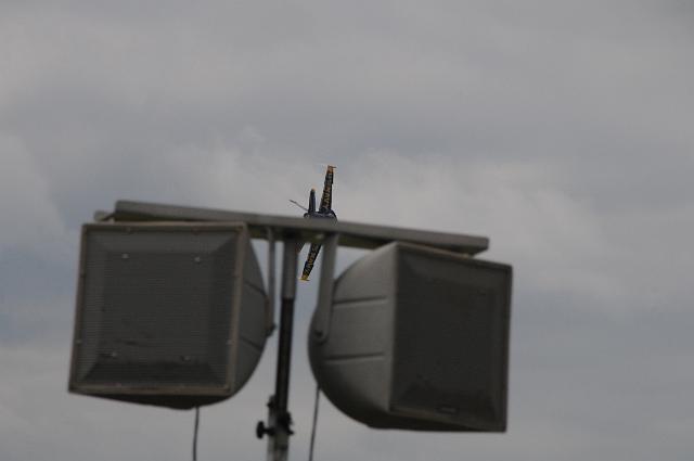DSC_4637.JPG