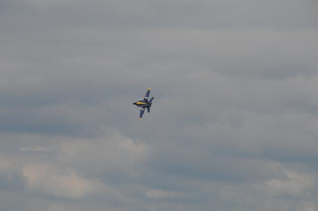 DSC_4642.JPG