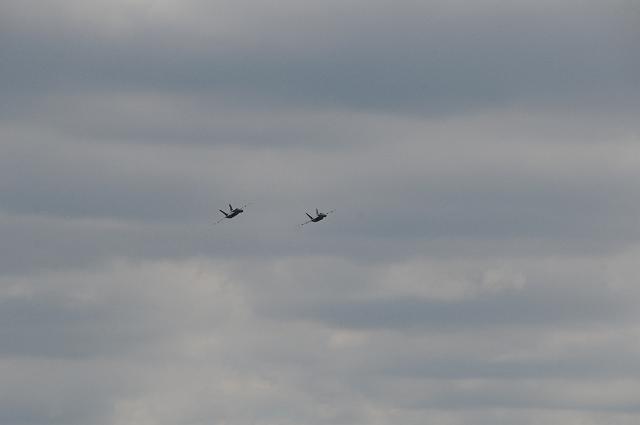 DSC_4653.JPG