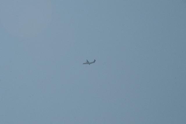DSC_5424.JPG