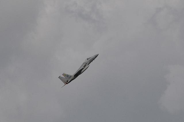 DSC_5517.JPG