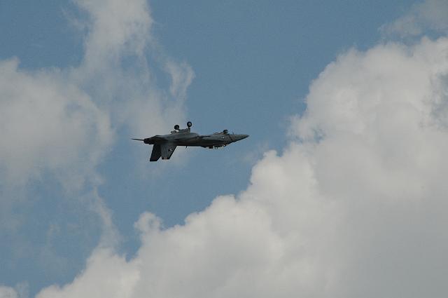 DSC_5549.JPG
