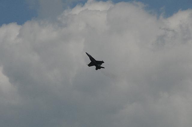 DSC_5553.JPG