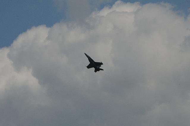 DSC_5554.JPG