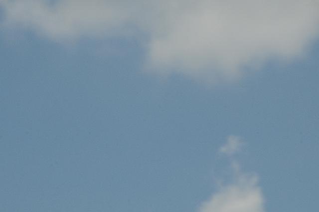 DSC_5595.JPG