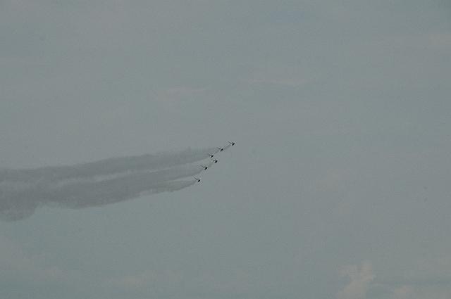 DSC_6177.JPG
