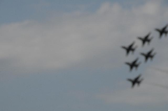 DSC_6179.JPG