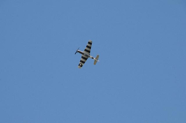 DJK_9180.JPG