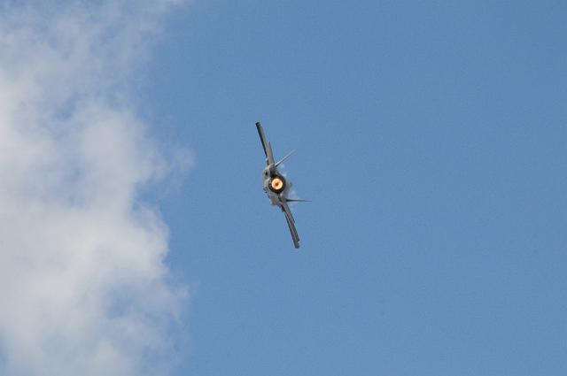 DJK_9203.JPG