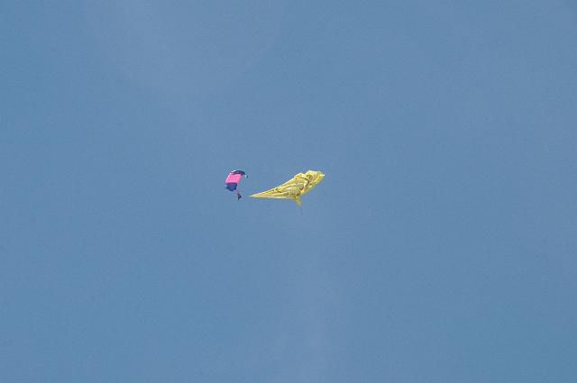 DJK_9413.JPG