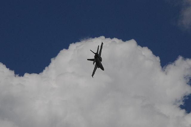 DJK_9503.JPG
