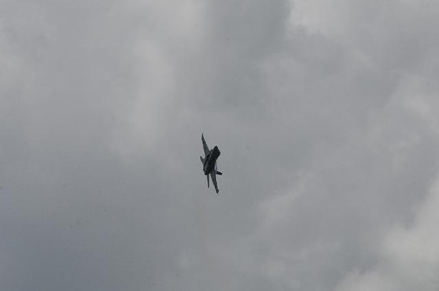 DJK_9519.JPG