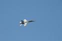 DJK_9448