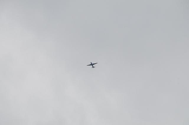 DSC_1157.JPG