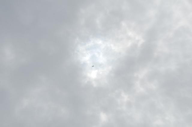 DSC_1229.JPG