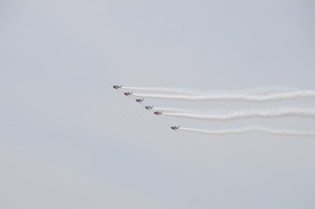 DSC_1263.JPG