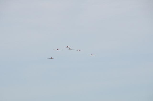 DSC_1269.JPG