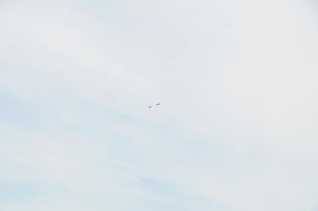 DSC_1322.JPG