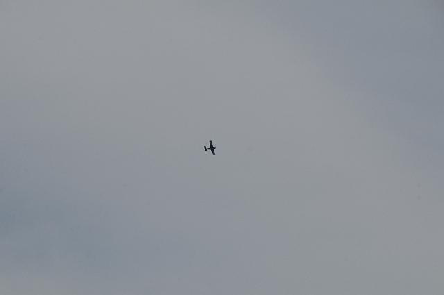 DSC_1411.JPG