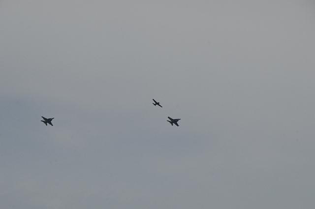 DSC_1414.JPG