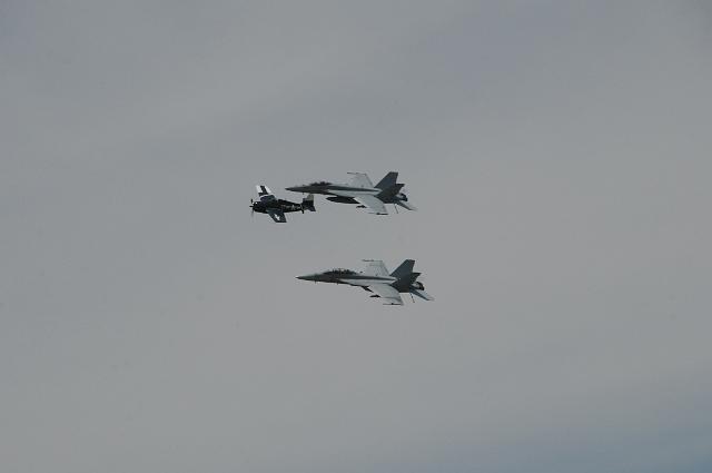 DSC_1427.JPG