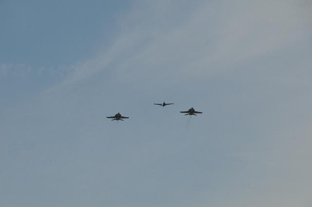 DSC_1441.JPG