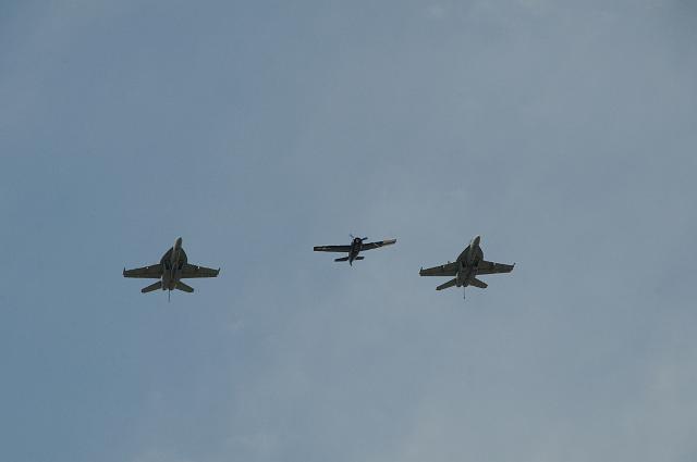 DSC_1445.JPG