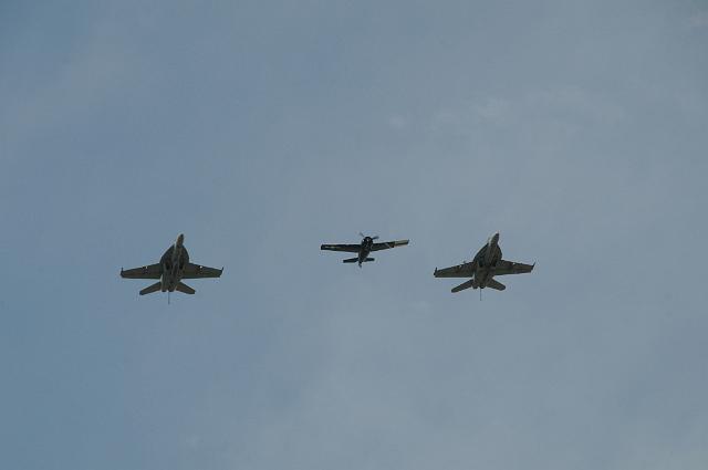 DSC_1446.JPG