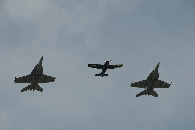 DSC_1453.JPG