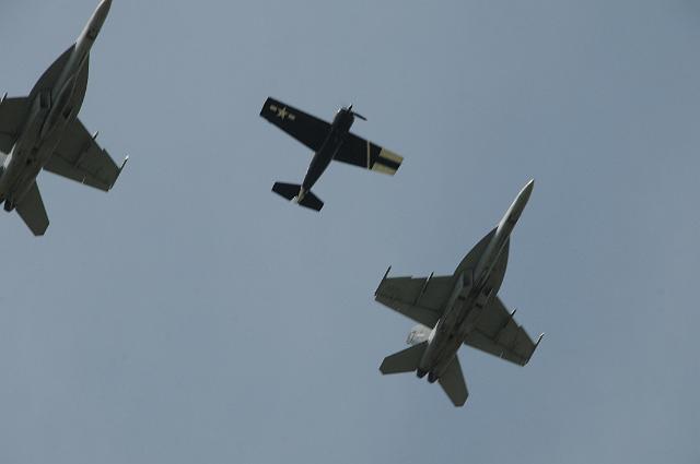 DSC_1460.JPG