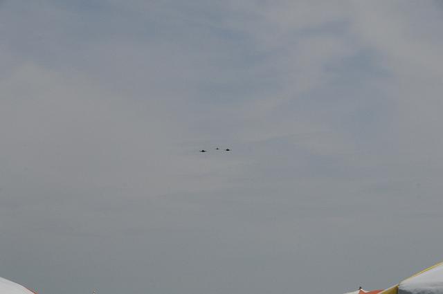 DSC_1463.JPG