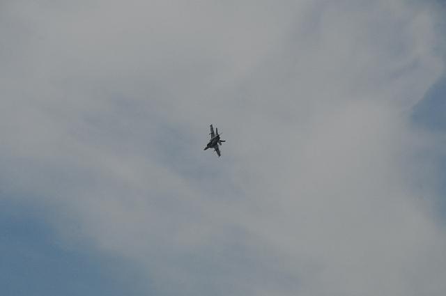 DSC_1502.JPG