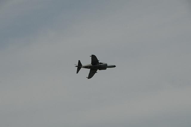 DSC_1519.JPG