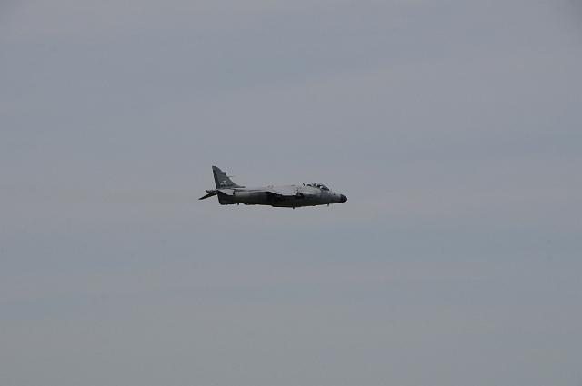 DSC_1528.JPG