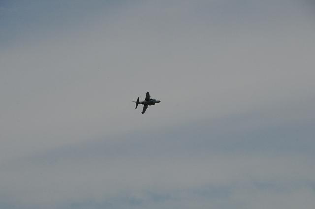 DSC_1538.JPG