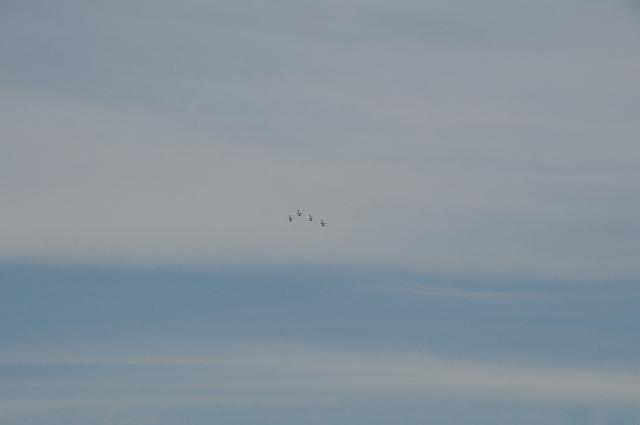 DSC_1578.JPG