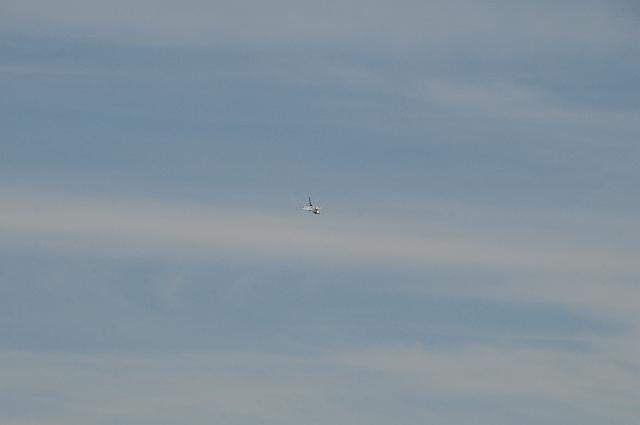 DSC_1585.JPG
