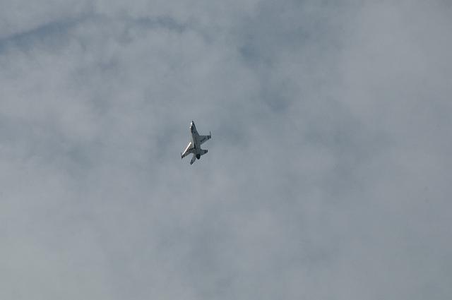 DSC_1590.JPG