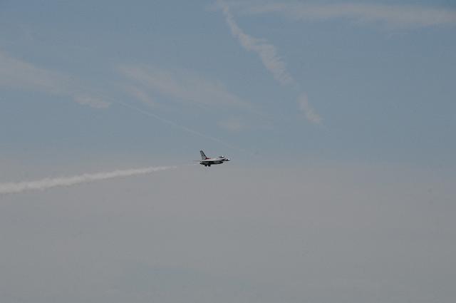 DSC_1604.JPG