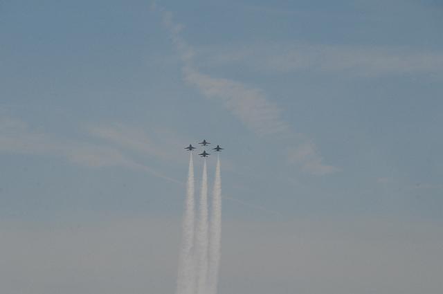 DSC_1690.JPG