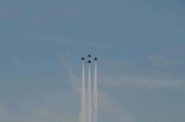 DSC_1691.JPG