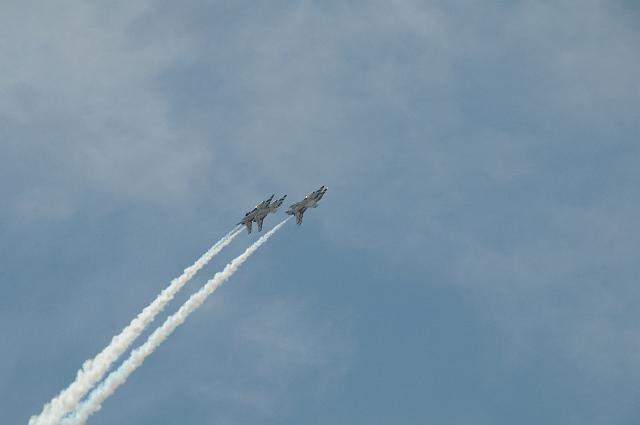 DSC_1695.JPG