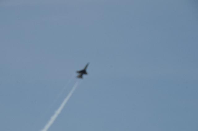 DSC_1903.JPG